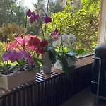Hotel Ghironi La Spezia
