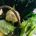 Ghironi La Spezia