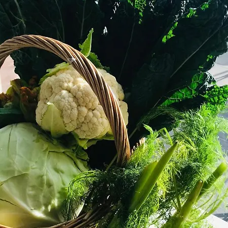 기로니 라스페치아