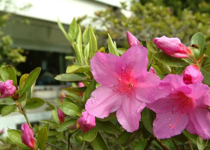 Ghironi Hotel La Spezia